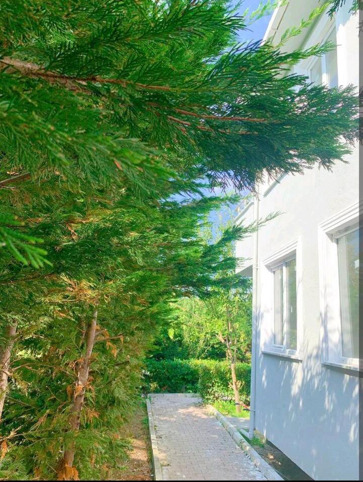 Ahmet Teacher Hotel, 5 Minutes From The Airport Arnavutkoy エクステリア 写真